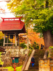 05浄休寺★DSC03779s.jpg