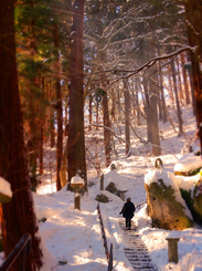 08山寺傘笠岩あたり★DSC04892s.jpg
