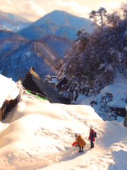 21山寺大仏殿から見晴らし★DSC05028s.jpg