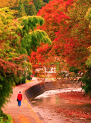 31金山川沿い★DSC03974s.jpg