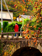 33下町めがね橋★DSC03944s.jpg