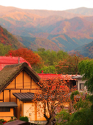 38山田家より★DSC03966s.jpg