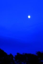 71月岡H月★DSC01183s.jpg