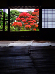 79旧尾形家★DSC04036s.jpg